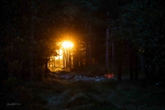 Besøg-hos-Thorbjørn_1220