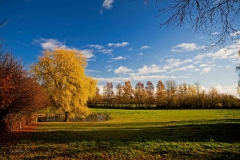 Efterår_2007_003