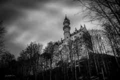 IMG_8252