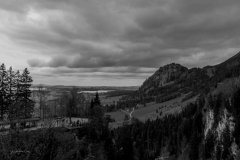 IMG_8257