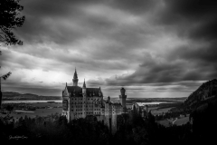 IMG_8267