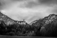 IMG_8277