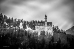 IMG_8279