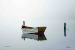 Aarets-vinderbillede-2014