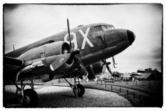 IMG_3702-Edit