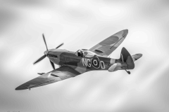 IMG_7741