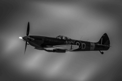 IMG_7844