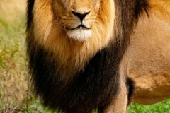 Soeren6
