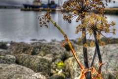 havnen-Keflavik