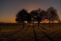 MG_5741