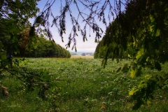 IMG_3641-Edit