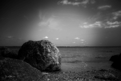 IMG_7281-2