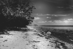 IMG_7291-2